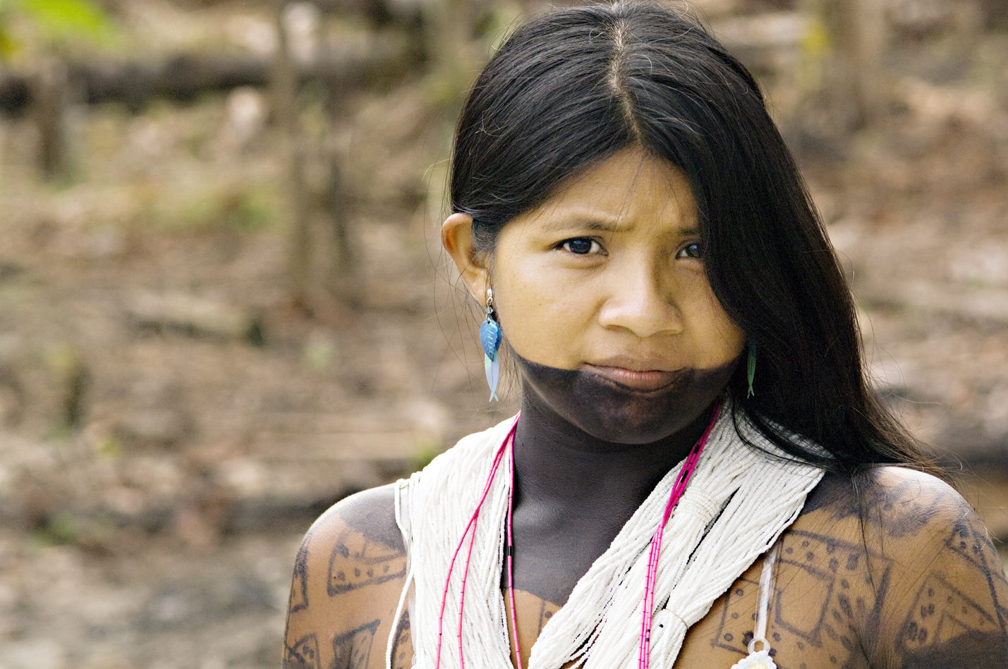 Protecting the Indigenous People of the Amazon